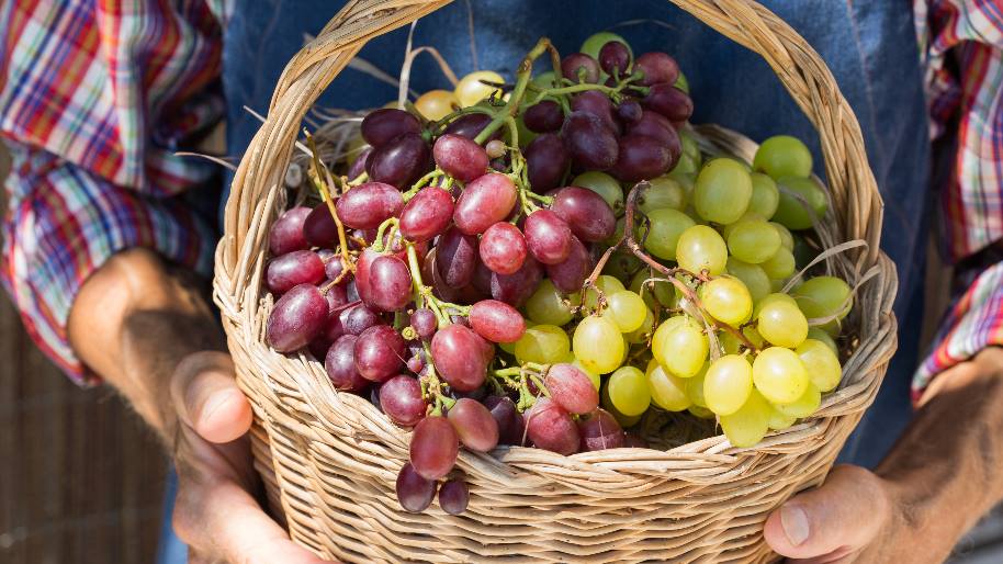 Grapes