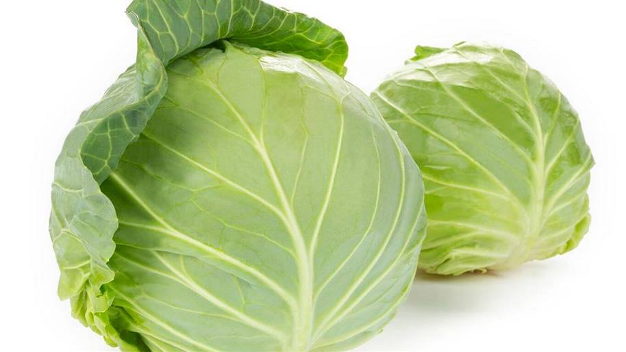 Cabbage